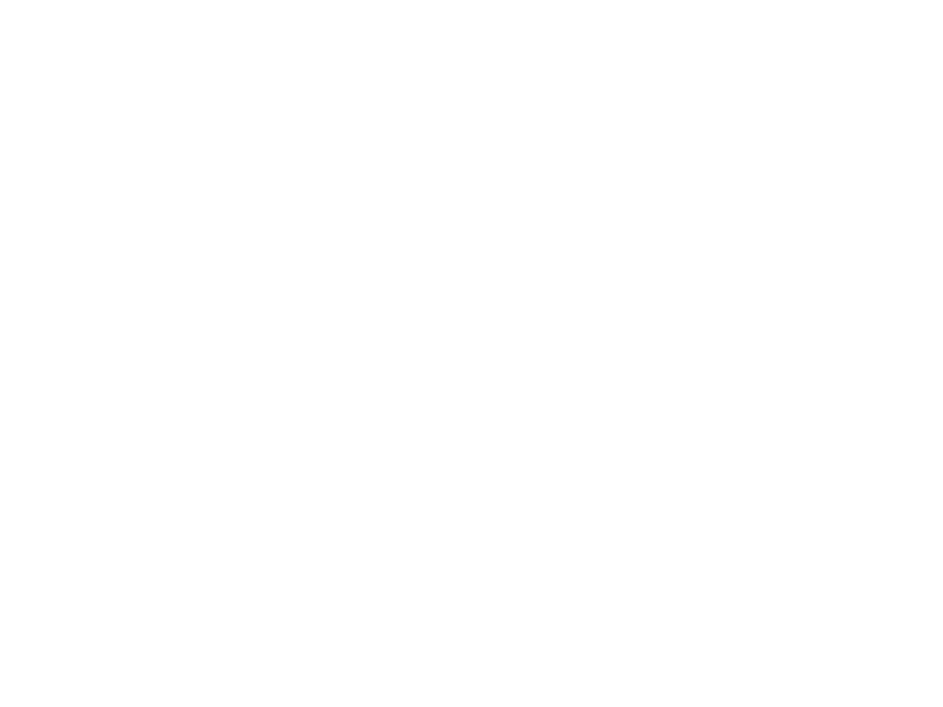 Paradigm